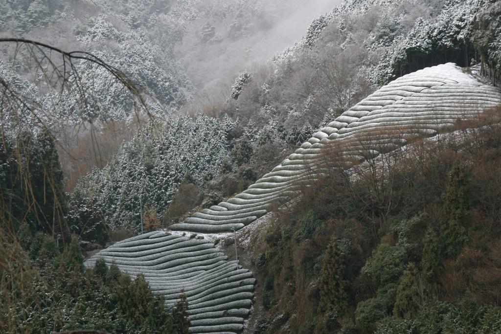 Kyoto Wazukaso Hotel Kizugawa Bagian luar foto