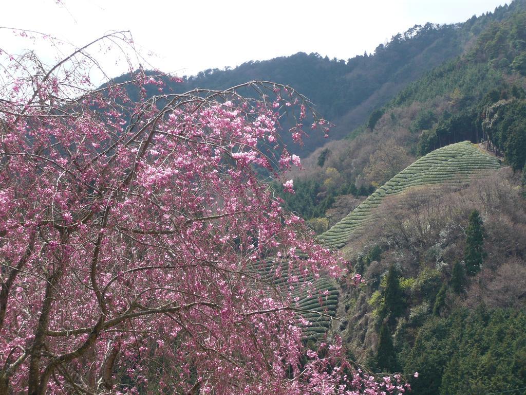Kyoto Wazukaso Hotel Kizugawa Bagian luar foto
