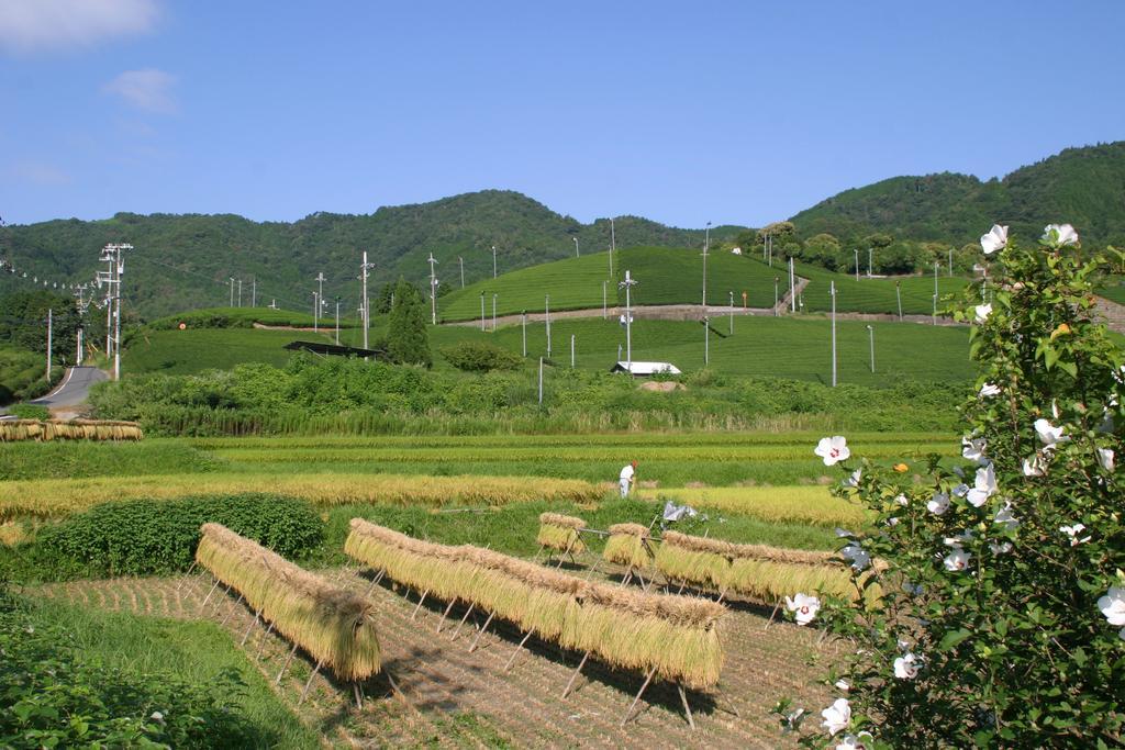 Kyoto Wazukaso Hotel Kizugawa Bagian luar foto