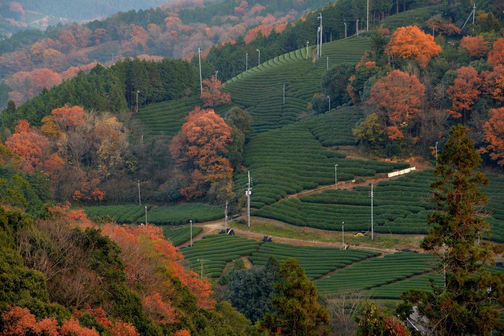 Kyoto Wazukaso Hotel Kizugawa Bagian luar foto