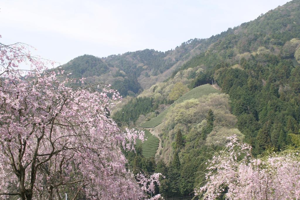 Kyoto Wazukaso Hotel Kizugawa Bagian luar foto